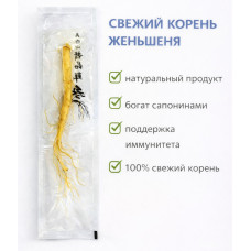 Свежий корень Korean Red Ginseng Свежий корень Korean Red Ginseng